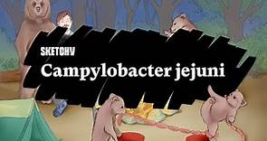 Campylobacter jejuni: Causes, Symptoms & Complications (Full Lesson)| Sketchy Medical | USMLE Step 1