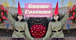 DIY Gnome Costume/ Disfraz de gnomo