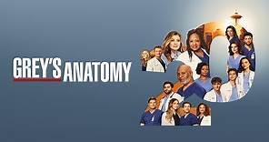 Watch Grey's Anatomy TV Show - ABC.com