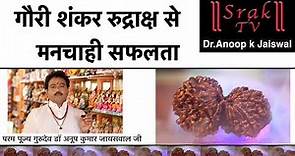 गौरी शंकर रुद्राक्ष से मनचाही सफलता और इसके चमत्कारी लाभ(Dr. Anoop Kr Jaiswal)Benefits Of rudraksha