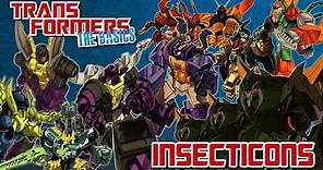 TRANSFORMERS: THE BASICS on the INSECTICONS