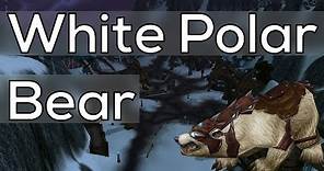 How To Get The White Polar Mount - World of Warcraft Guide
