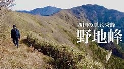 【登山】野地峰 なんでここが四国百名山じゃないのか…ここもまた素敵なお山でした。