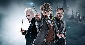 Watch Fantastic Beasts: The Crimes Of Grindelwald | Prime Video