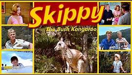 Skippy the Bush Kangaroo - Intro [1969]