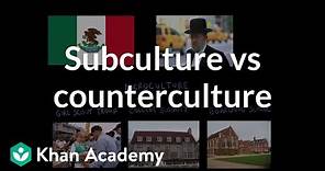 Subculture vs counterculture | Society and Culture | MCAT | Khan Academy