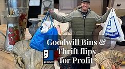 Goodwill Bins and thrift Flips For Profit
