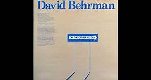 David Behrman - On the Other Ocean