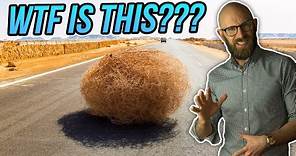 So What Actually is a Tumbleweed, Anyway, And How Did it Become Associated with the American West