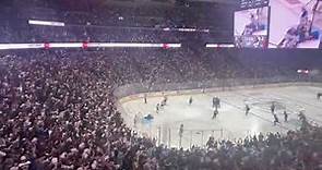 Ball Arena erupts for Avalanche playoff OT goal