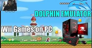 How to play Wii Games on PC Guide (Dolphin Emulator)