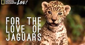For the Love of Jaguars | Nat Geo Live