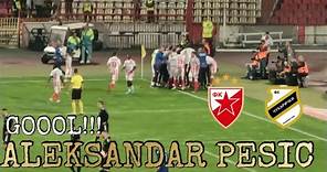 Aleksandar Pešić gol - Crvena Zvezda Cukaricki