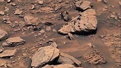 Martian Rippled Rock Textures