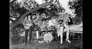The Seeds "Faded Picture"