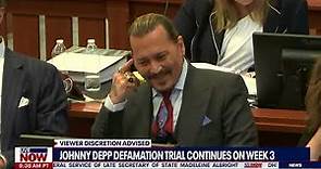 Johnny Depp, judge crack up during 'bizarre' witness testimony | LiveNOW from FOX
