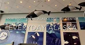 Our Visit to the Alaska SeaLife Center