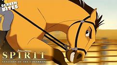 Spirit's Fight For Freedom | Spirit: Stallion of the Cimarron (2002) | Screen Bites