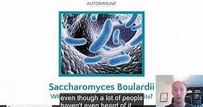 Saccharomyces Boulardii - what is it and what are the benefits?