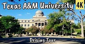 Texas A&M University || Campus Driving Tour 4k 60fps [Full Version]