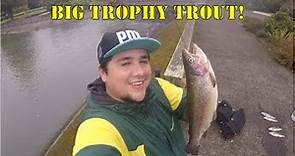 Big Trophy Trout Limits at Alton Baker Park in Eugene, Oregon! I Bank Fishing I Oregon Trout Fishing