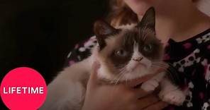 Grumpy Cat's Worst Christmas Ever | Lifetime