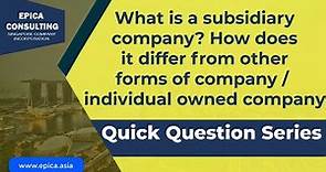 What is a subsidiary company how is it different from other ownership type in a company.