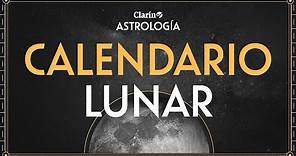Calendario Lunar: cómo aprovechar la energía de LUNA NUEVA y conectar con las RAÍCES | Lourdes Ferro