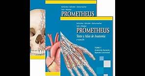 Descarga Libros de Anatomía de Prometheus