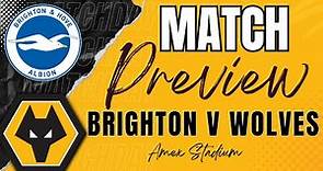 Brighton v Wolves PREVIEW All the Latest | Predictions & More