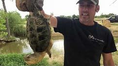 How to Catch, Clean and Cook a Snapping Turtle! PT 1
