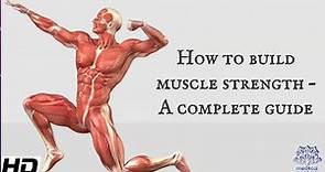 How To Build Muscle Strength- A Complete Guide