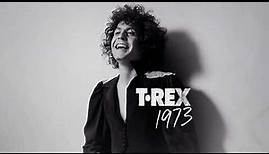 T.Rex 1973 Whatever Happened To The Teenage Dream? 5LP/4CD Trailer