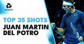 Top 35 Juan Martin Del Potro Electric Shots 😍