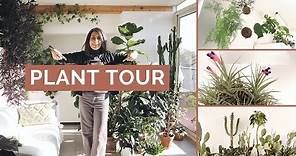 Vieni a fare un giro tra le mie piante! | PLANT TOUR 2022