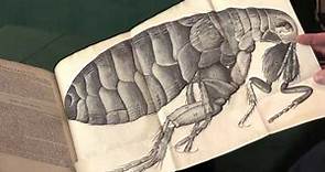 Robert Hooke. Micrographia