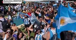 Video. Argentina's home fans celebrate World Cup victory