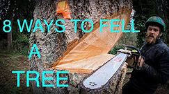 WORLD'S BEST TREE FELLING TUTORIAL! Way more information than you ever wanted on how to fell a tree!