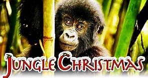 ENCHANTED KINGDOM - Documentario con Idris Elba, a Natale su SKY 3D #JungleChristmas