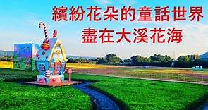 2023桃園花彩節-11/11大溪繽紛登場！2023 Taiwan Taoyuan Flower Color Festival