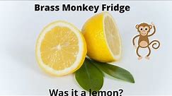 Brass Monkey fridge purchased - but we returned it