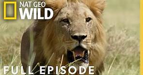 Big Game of Thrones (Full Episode) | Savage Kingdom