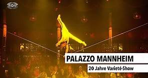Palazzo Mannheim | RON TV |