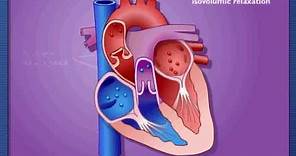 Cardiac Cycle - Systole & Diastole