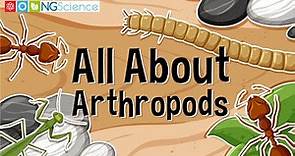 All About Arthropods