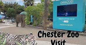Chester Zoo Visit - 2023 New Quick Tour - A few surprises along the way!!