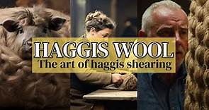 The Ancient Art Of Scottish Haggis Shearing