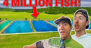 STOCKING 4 MILLION BASS at the FISH HATCHERY! ( FULL TOUR )