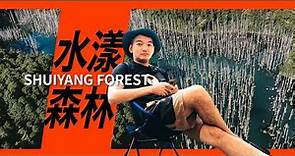 水漾森林 ｜ SHUIYANG FOREST
