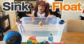 Sink or Float? | Science Experiments for Kids